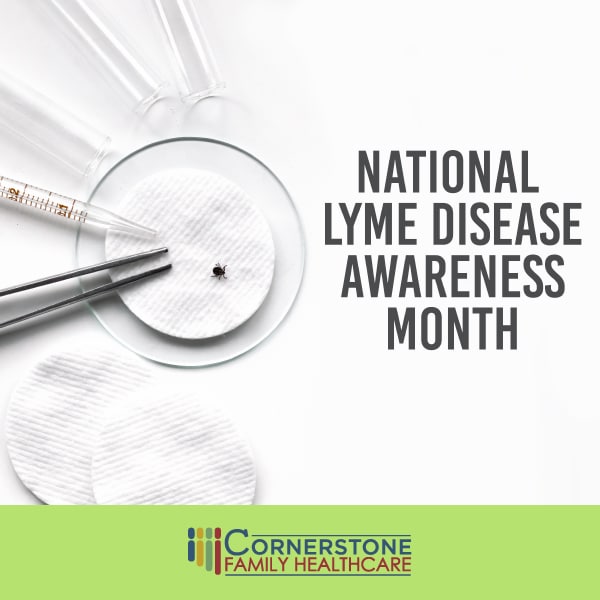 Tick in petri dish with scientist's tweezers